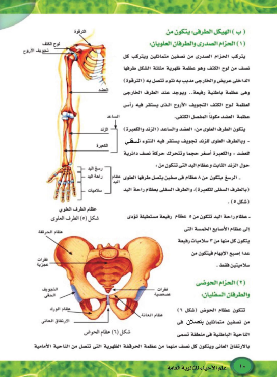 شرح الدرس الاول احياء3 شرح الدرس الاول احياء3